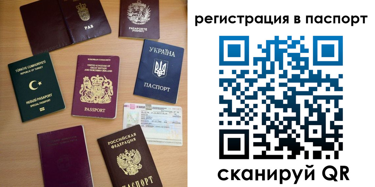 прописка поиск в Полярных Зорях